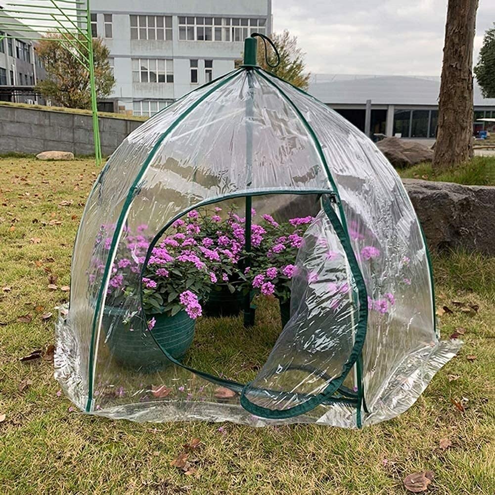 Amazon.co.jp: ビニールハウス 温室 コンパクトな温室強化カバー小さな